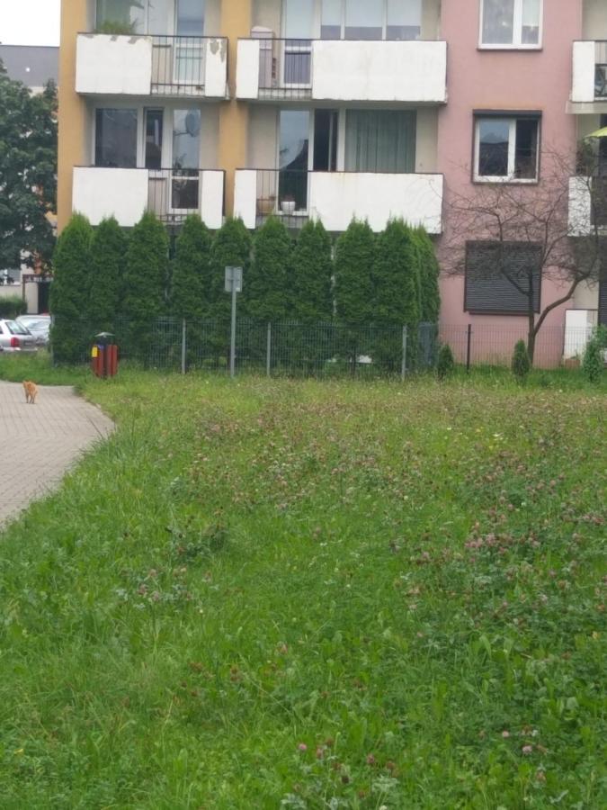 Apartament Z Ogrodem تخه المظهر الخارجي الصورة